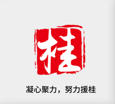 聚焦产业，努力援桂